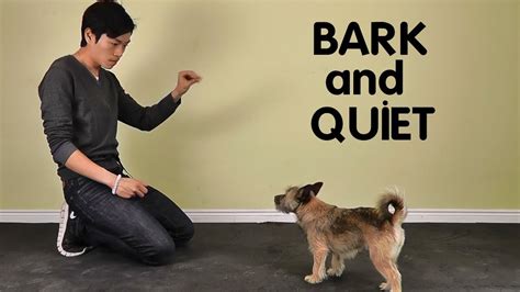 Teach Dog to Stop Barking - Bark and Quiet on Cue - YouTube