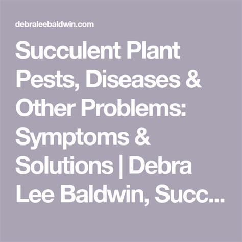 Succulent Plant Pests, Diseases & Other Problems: Symptoms & Solutions ...