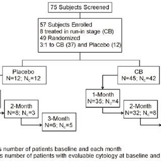 The consort diagram. | Download Scientific Diagram