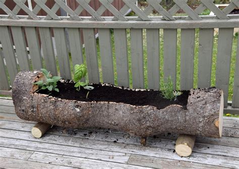 12+ Gorgeously Rustic Log Planters for Your Garden - 2000 Daily