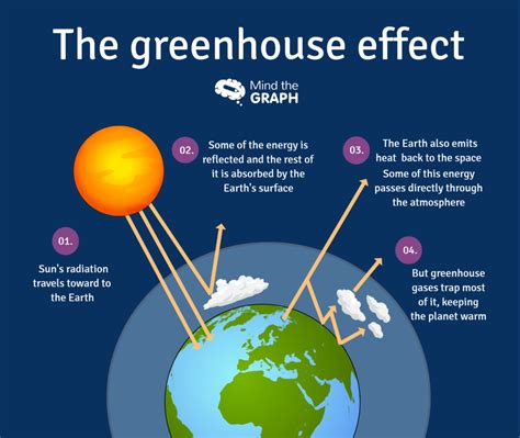 Ciclo del carbono y efecto invernadero - Una infografía científica