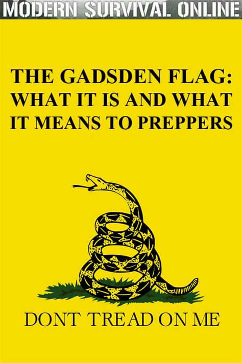 The Gadsden Flag: What it Is and What it Means to Preppers - Modern ...