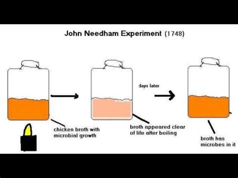 needham experiment - YouTube