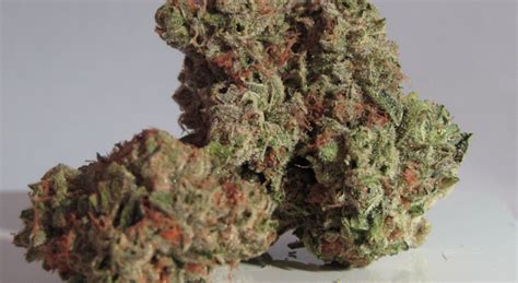 Northern Lights Indica Medical Marijuana Strains