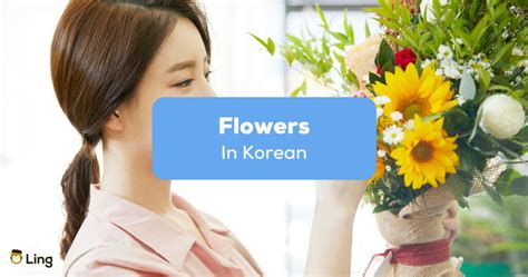 10+ Popular Flowers In Korean And Their Meanings - ling-app.com