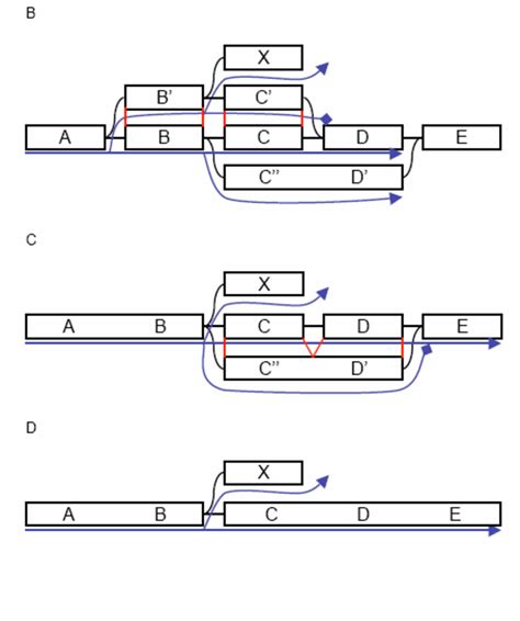 Slides: De Bruijn Graph Assembly / De Bruijn Graph Assembly / Assembly