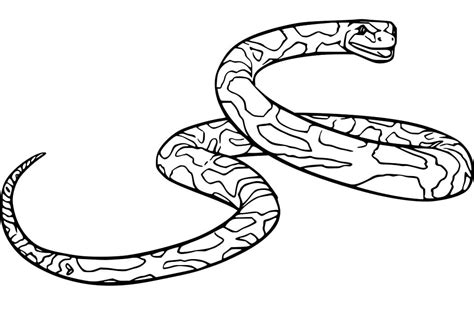 A Green Anaconda Coloring Page - Free Printable Coloring Pages for Kids