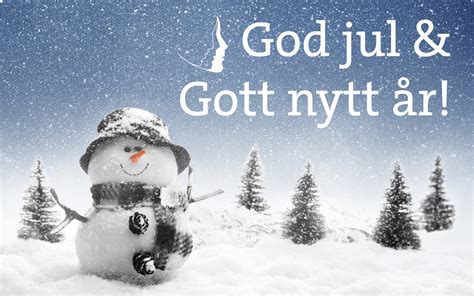 God jul och gott nytt år! | Bosnien och Hercegovinas Kvinnoriksförbund ...