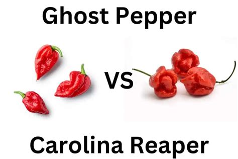 Ghost Pepper vs Carolina Reaper: 6 Main Differences