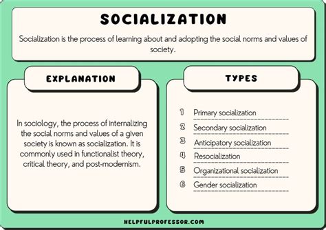 18 Best Socialization Examples (Sociology Concepts) (2024)