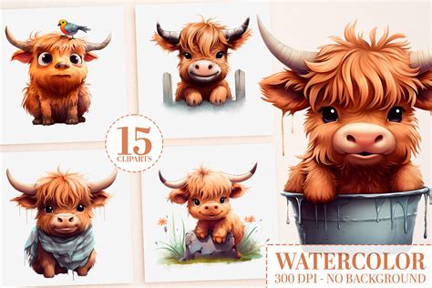 15 Baby Highland Cow PNG Bundle: ClipArt Gráfico por SharpMarketplace · Creative Fabrica