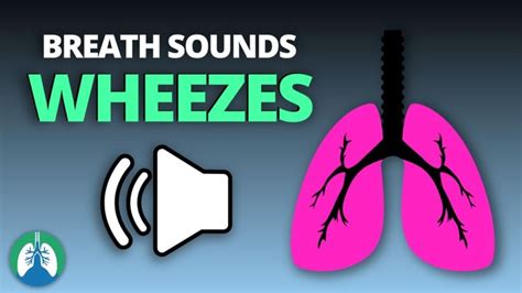 Wheezes Lung Sounds (What is Wheezing?) | Breath Sounds Guide | Breath ...