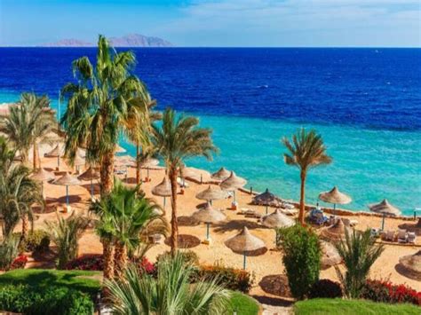 The Red Sea Riviera: A Paradise for Beach Lovers – Djoser Tours