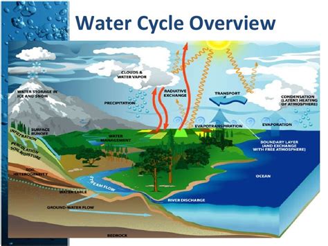 The Hydrologic Cycle