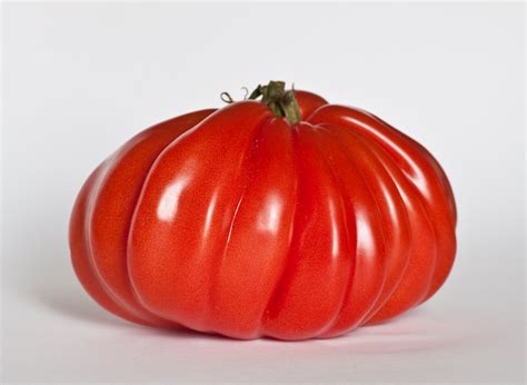 File:Tomate Cœur de bœuf.jpg - Wikimedia Commons