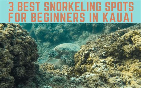 3 Best Snorkeling Spots in Kauai for Beginners - That Adventure Life