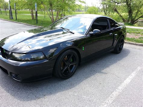 2003 Ford Mustang SVT Cobra - Pictures - CarGurus