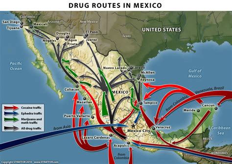 El Comercio de Drogas en América Latina – Medical Spanish