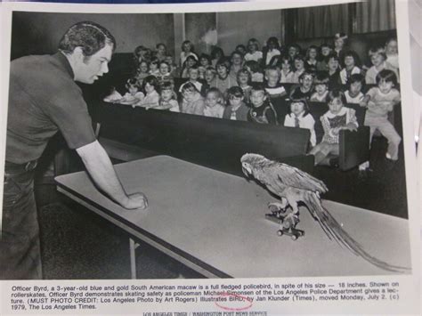 Roller Skating Fans, Roller Rinks & 1970s Fun by 'Miami Herald' Press Staff Photos: Photograph ...