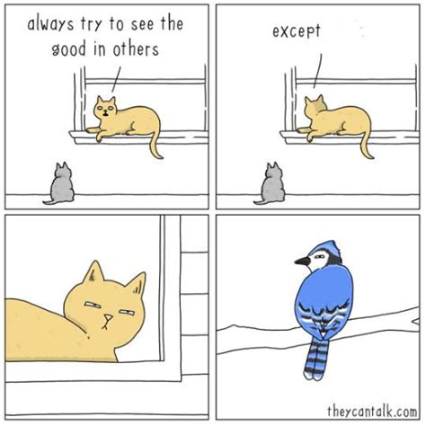 Cat and Bird Blank Template - Imgflip