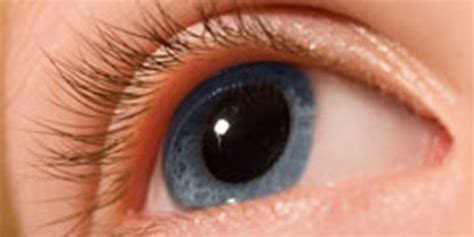 What Are Dilating Eye Drops? | Eye health, Daily health tips, Eye drops