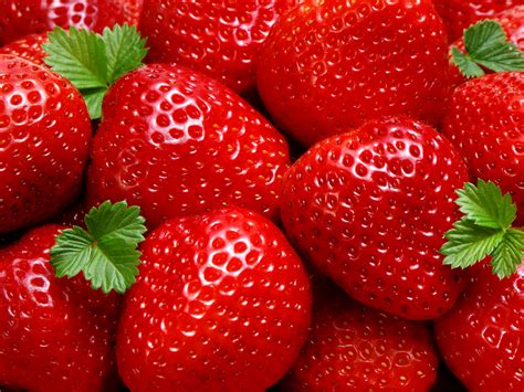 Fresh Strawberries Photography HD Wallpapers ~ Desktop Wallpaper