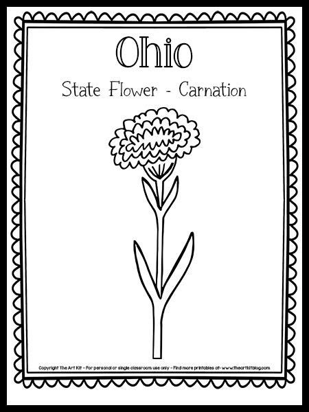 Ohio State Flower Coloring Page (Carnation!) {FREE Printable!} in 2022 | Coloring pages, Flower ...