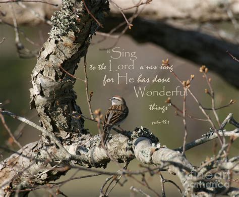 Sing to the Lord Photograph by Gail Shelton - Pixels