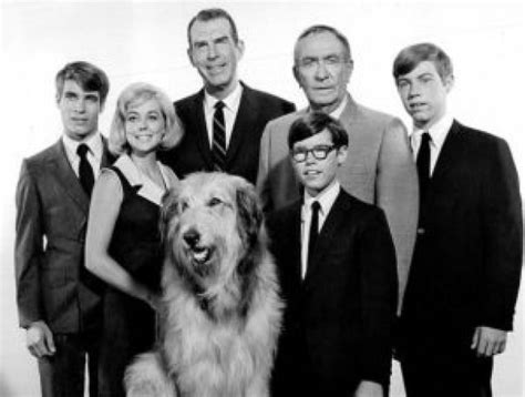 Why We Loved The 1960's CBS Show MY THREE SONS - BigCityReview