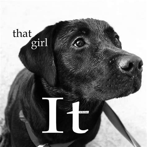 50 Unexpected Name Ideas for Your Unique Black Lab Girl - The Modern Bark | Dog Training Tips