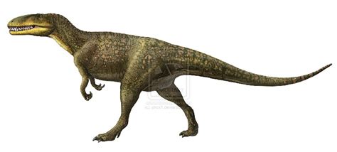 Dubreuillosaurus Pictures & Facts - The Dinosaur Database