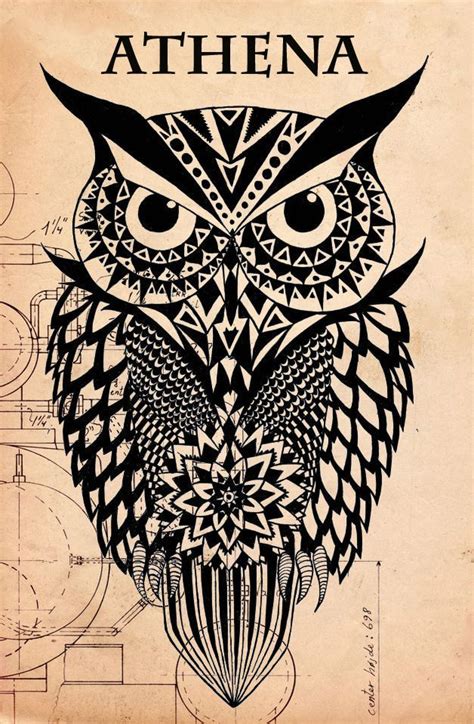 Athena's Owl | Athena owl, Black and white owl, Owl coloring pages