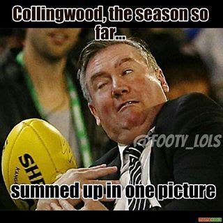 Collingwood meme | Sports memes, Football memes, Australian football