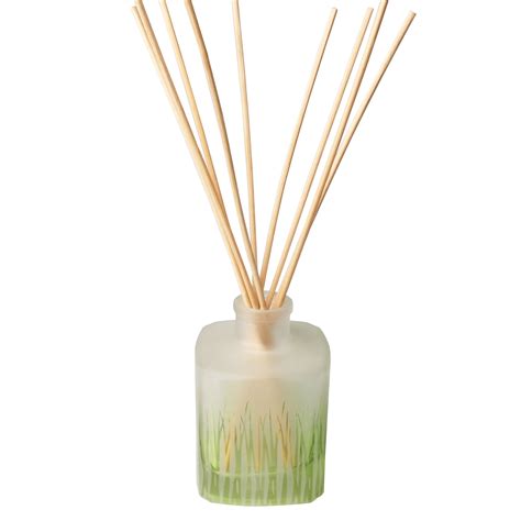 2oz aromatherapy diffuser rattan sticks for reed diffuser glass bottles ...