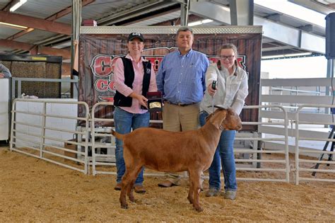 Livestock Exhibits – Florida Gateway Fairgrounds formerly Columbia County Fairgrounds