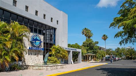 Mote Marine Laboratory & Aquarium in Sarasota | Expedia