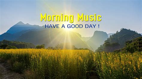 Beautiful Morning Music HAPPY New Positive Energy & Stress Relief Music ...