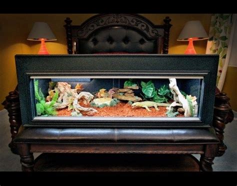 17 Best images about DIY Reptile Cages on Pinterest | Vivarium, Iguana ...