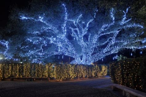 The Christmas Lights Road Trip Through Louisiana That Will Take You To ...