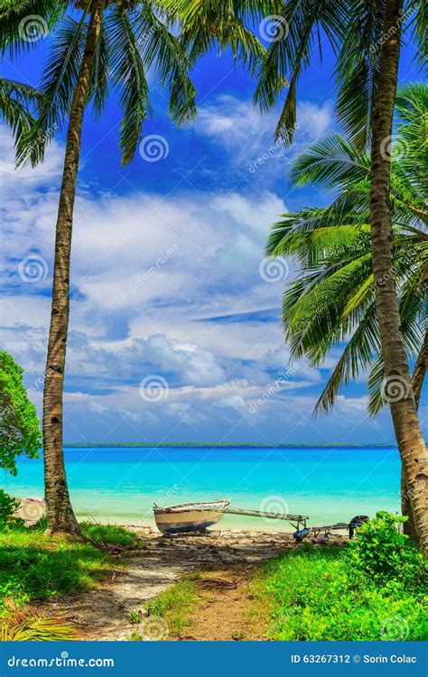 Tabuaeran Beach Stock Photos - Free & Royalty-Free Stock Photos from ...