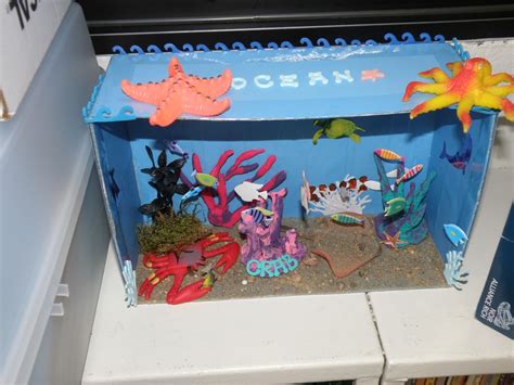 Rainforest Project Diorama examples/howto Class 406! - Diorama Ideas