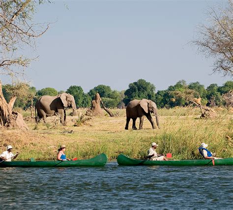 Luxury Lower Zambezi Wilderness Safari | Packages | Explorer Safari