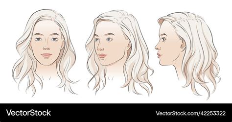 Woman face set of three different angles Vector Image