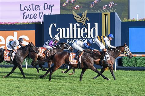 The Showdown day Tips and Bets – Caulfield Races 18/4/2020 | Sports News Australia