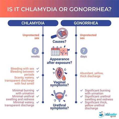 Chlamydia vs. Gonorrhea Comparison - STDcenterNY.com