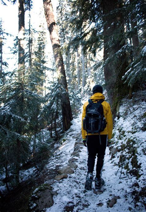 eastfly: A Snowy Hike