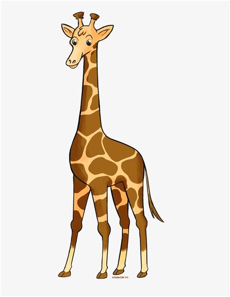 Zoo Animals - Giraffe Transparent PNG - 500x1000 - Free Download on NicePNG