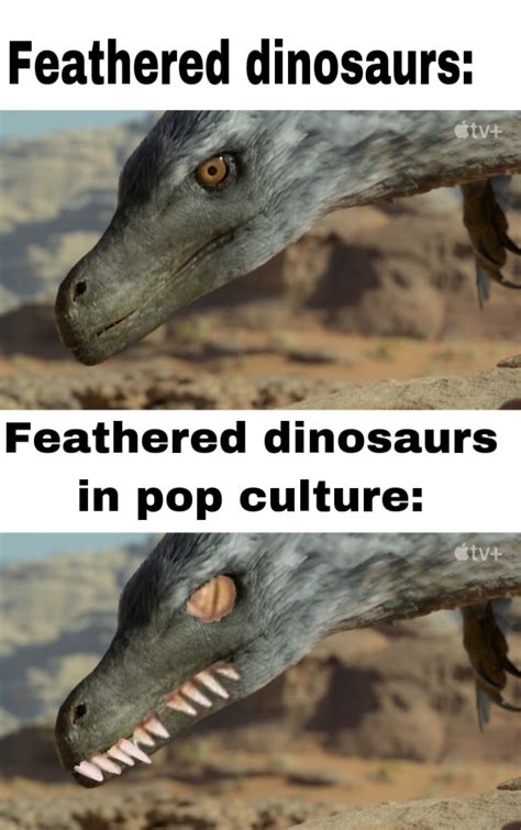 Feathered dinosaurs meme | Awesomebro | Know Your Meme