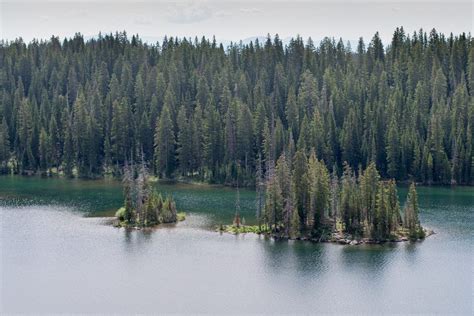 Grand Mesa National Forest – Western Colorado | Biking, Boating, Camping, Hiking & Fishing