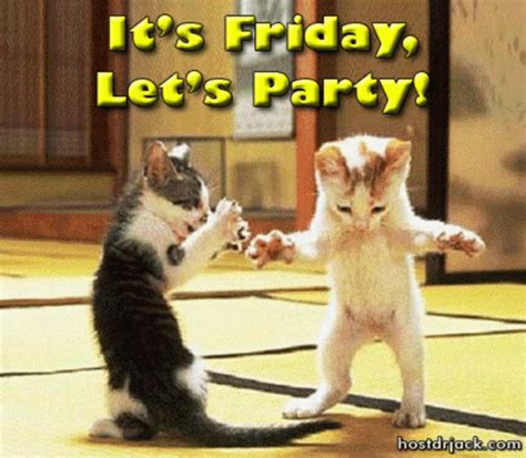 Friday Party GIFs | Tenor